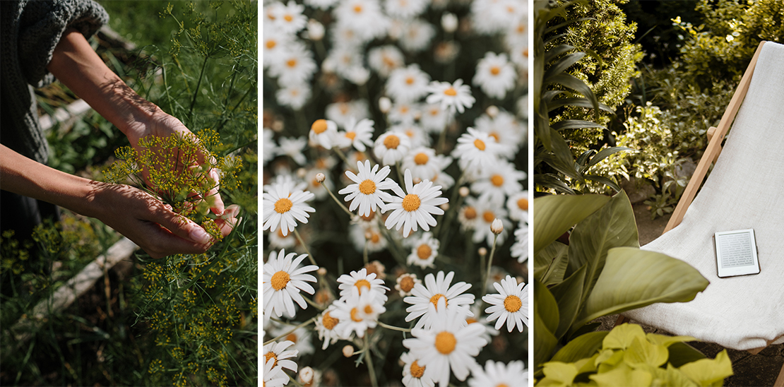 Hände, die Blumen in einem Sommergarten halten