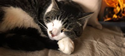 Hygge experte