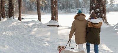 Paar geht mit dem Hund in den Wald
