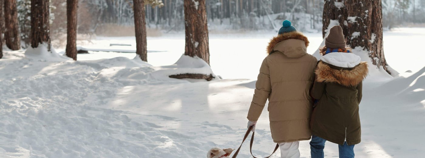 Paar geht mit dem Hund in den Wald